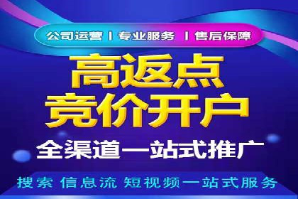 sem竞价开户实战：成功案例解析